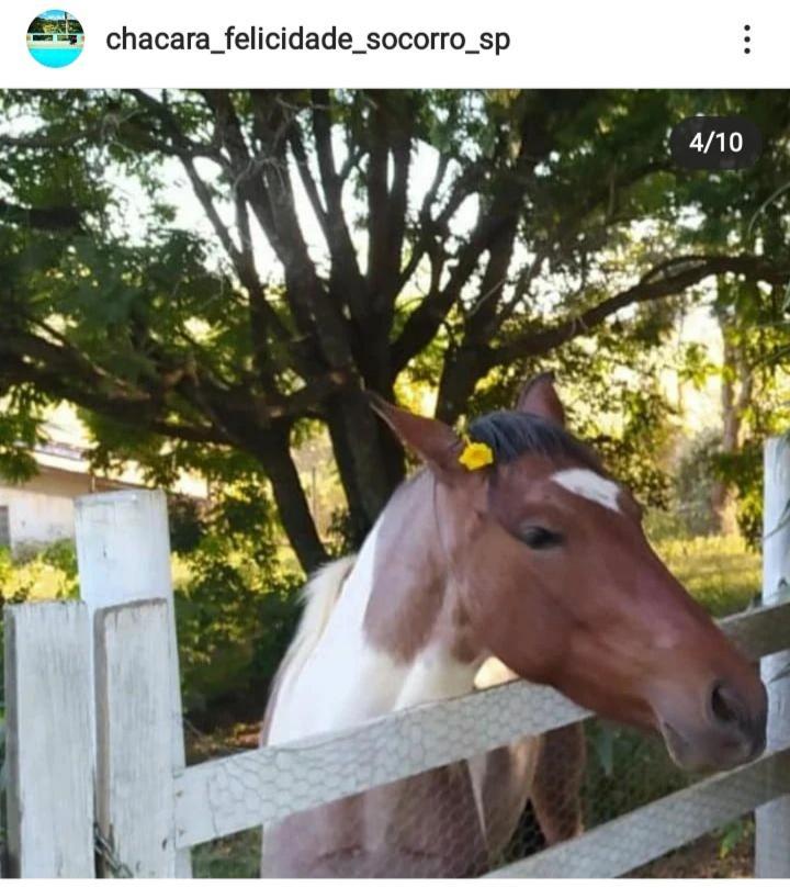 Chacara Felicidade * Socorro (Sao Paulo)